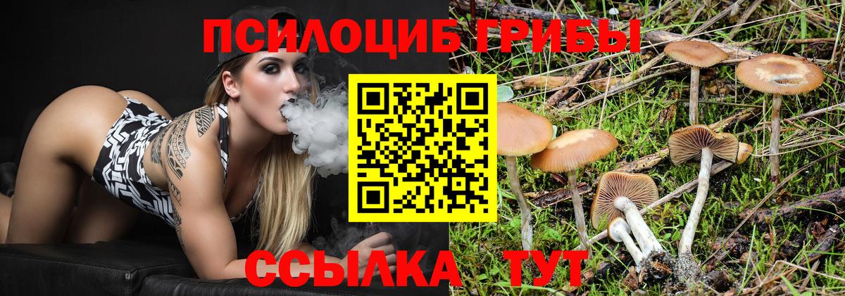 Псилоцибиновые грибы Cubensis  где купить   Каспийск  Вход с VPN 