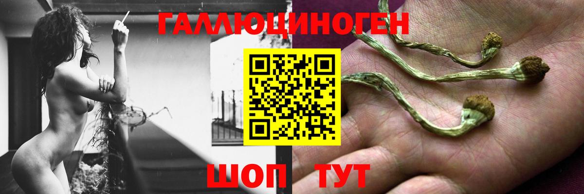 Галлюциногенные грибы прущие грибы Каспийск